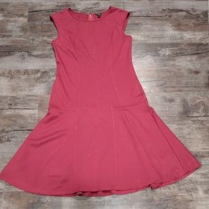 Ann Taylor burgundy dress size 6 tall